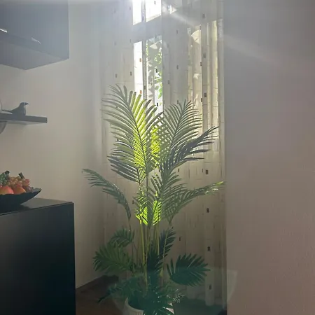 Apartment J & Nilson's In Center Shkoder