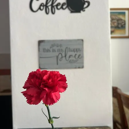 J & Nilson's In Center